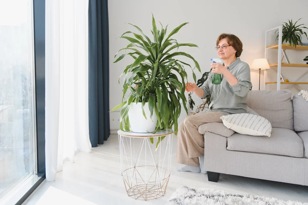 A content senior woman, breathing clean air, with glasses caring for her houseplant, a lush green aloe vera in a white pot on a wire stand, as she gently sprays it with water from a spray bottle in a bright, cozy living room with modern decor.